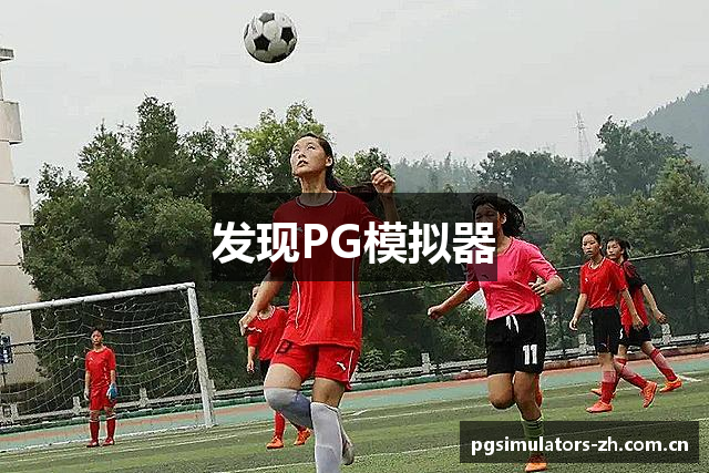 发现PG模拟器